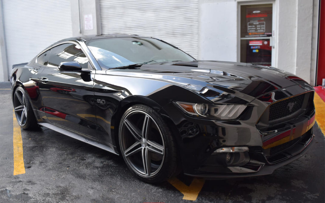 Mustang 5.0 Black